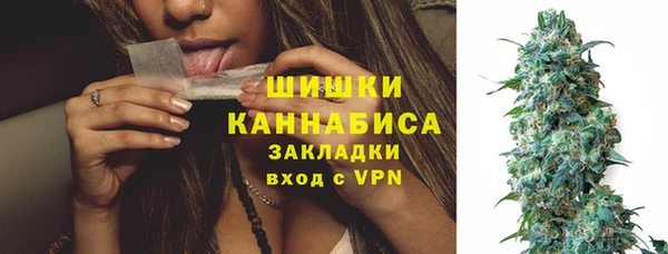 винт Мегион