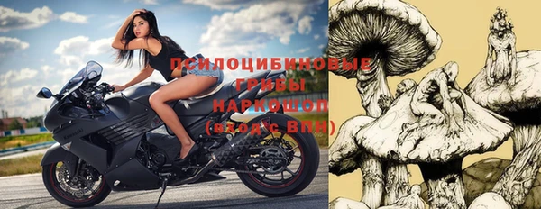 винт Мегион