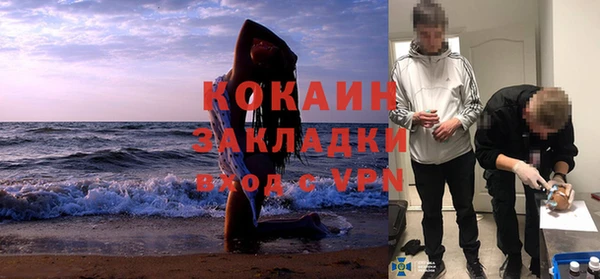 шишки Наволоки