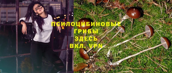 винт Мегион