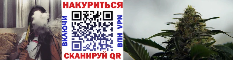 наркота  ОМГ ОМГ вход  Каннабис план  Рошаль 